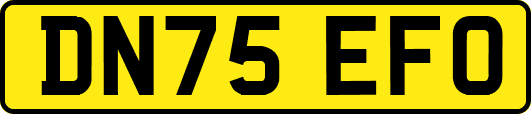 DN75EFO