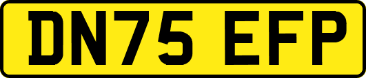 DN75EFP