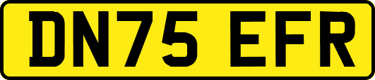 DN75EFR