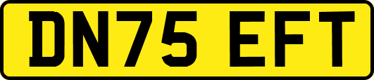 DN75EFT