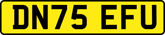 DN75EFU