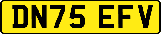 DN75EFV