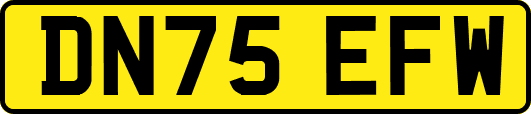 DN75EFW