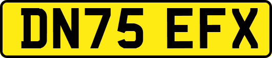 DN75EFX