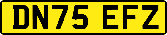 DN75EFZ