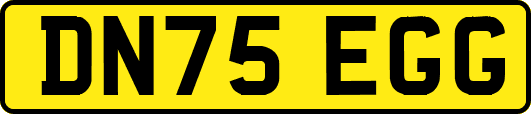 DN75EGG