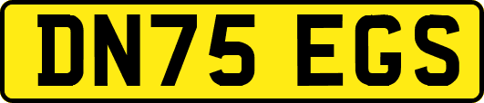 DN75EGS