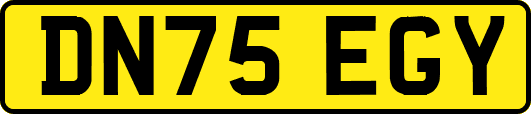 DN75EGY