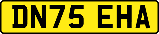 DN75EHA