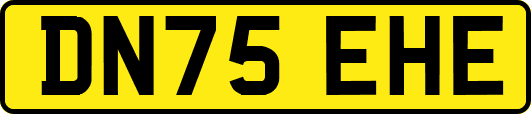 DN75EHE