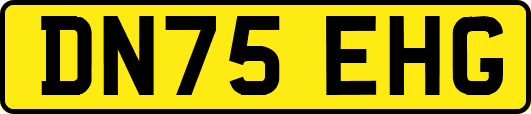 DN75EHG