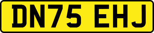 DN75EHJ