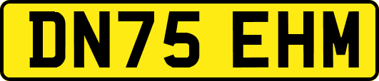 DN75EHM