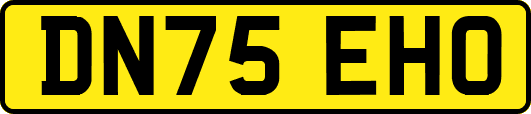 DN75EHO