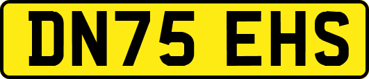 DN75EHS