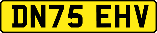 DN75EHV