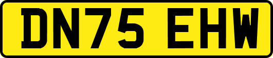 DN75EHW