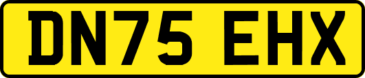 DN75EHX
