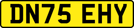 DN75EHY