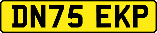 DN75EKP