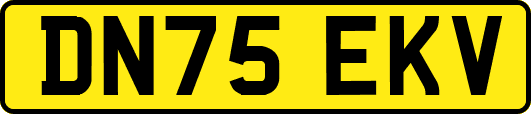 DN75EKV