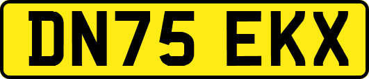 DN75EKX