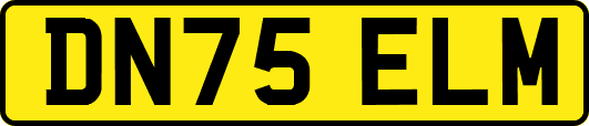 DN75ELM