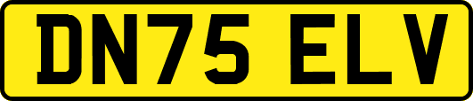 DN75ELV