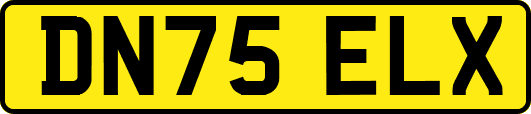 DN75ELX