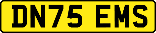 DN75EMS