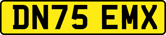DN75EMX