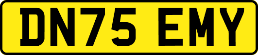DN75EMY