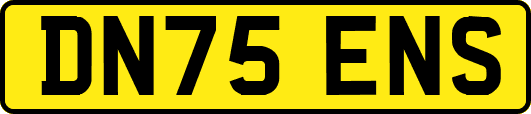 DN75ENS