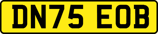 DN75EOB