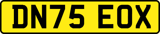 DN75EOX