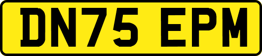 DN75EPM