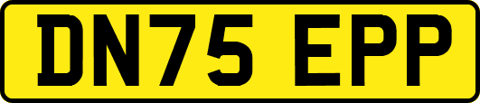 DN75EPP