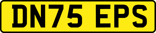 DN75EPS