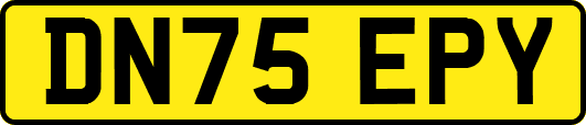 DN75EPY