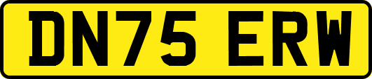DN75ERW