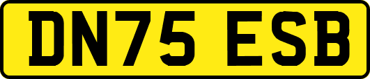 DN75ESB