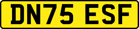 DN75ESF