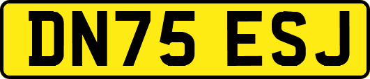DN75ESJ