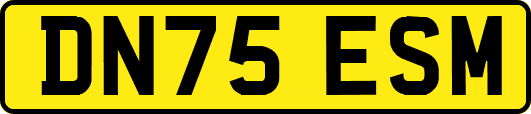 DN75ESM