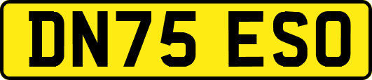 DN75ESO