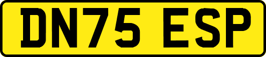 DN75ESP