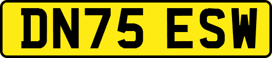 DN75ESW