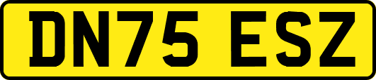 DN75ESZ