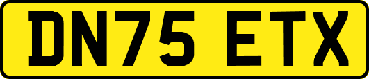 DN75ETX