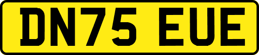 DN75EUE